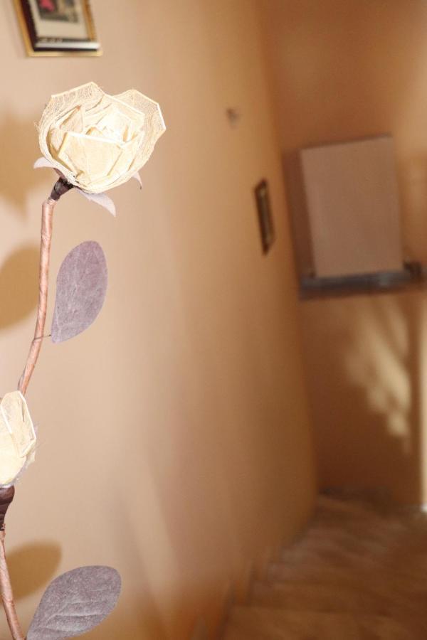 Kallirákhi Aivazidis Houseヴィラ エクステリア 写真